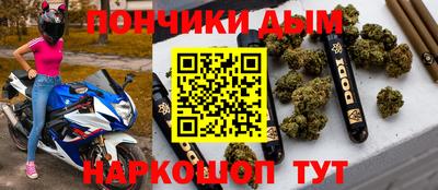 твердый Кингисепп