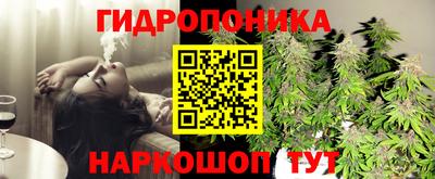 кокс Кимры
