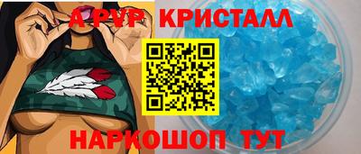 твердый Кингисепп