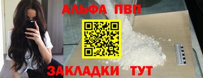 твердый Кингисепп