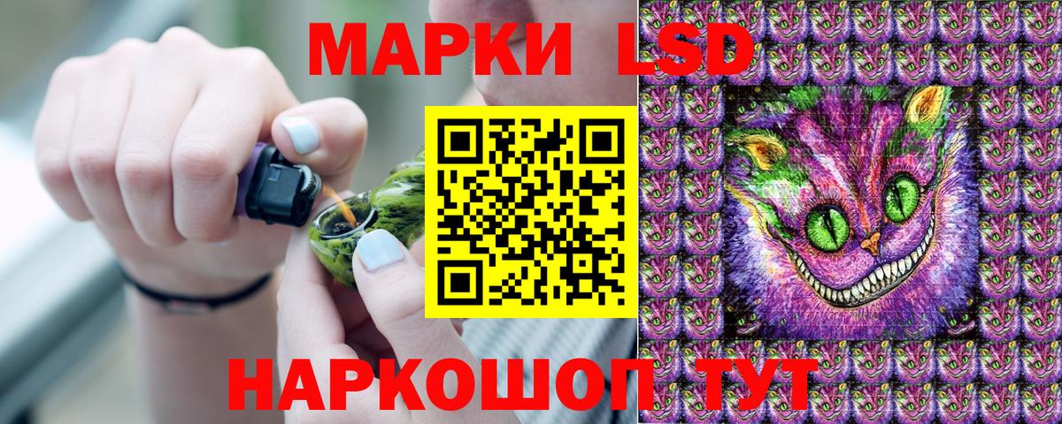 где купить наркотик  Марки N-bome  Вход с VPN  Марки N-bome 1,8мг  Марки N-bome 1,8мг  Кувандык 